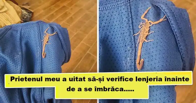 18 oameni care au avut parte de o surpriza neplacuta fix cand se asteptau cel mai putin