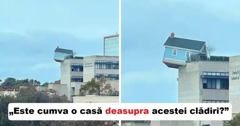 19 fotografii care ne demonstreaza ca viata ne poate surprinde cand ne asteptam cel mai putin
