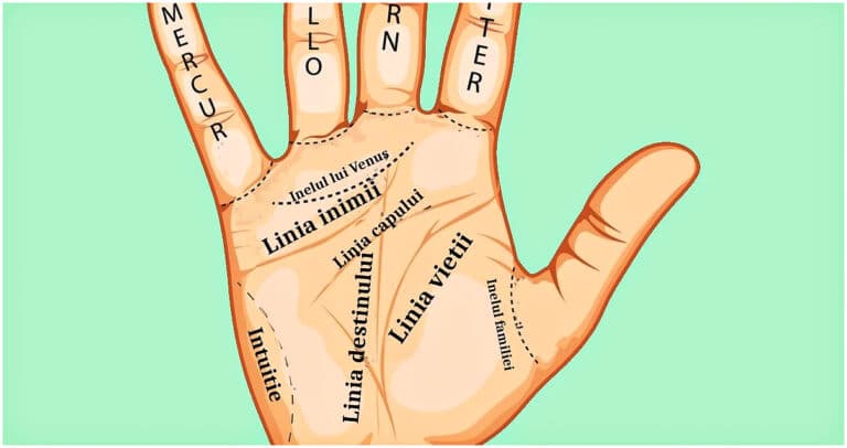 Cum să citești în palmă – cele 7 linii care îți ghidează viața