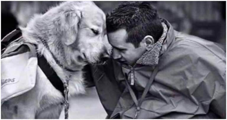 Câinele – Singura ființă care te iubește mai mult decât se iubește pe sine!