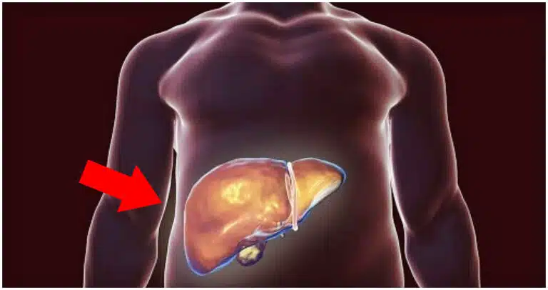 Descoperă un remediu natural și uimitor pentru detoxifierea ficatului – sunt necesare doar 2 zile